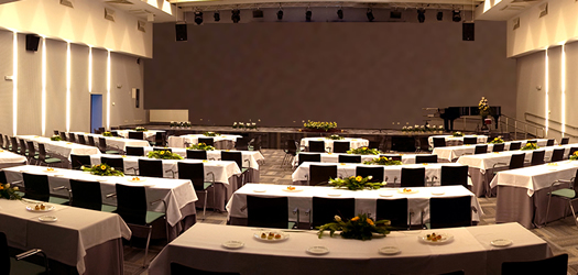 Event Liability (non-NYU parties)